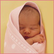 Muslimaat
